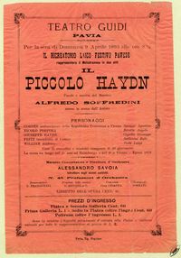 Il piccolo Haydn